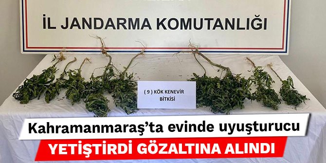 Kahramanmaraş’ta evinde uyuşturucu yetiştirdi gözaltına alındı