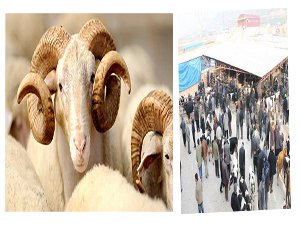 Kurban satış ve kesim yerleri belirlendi