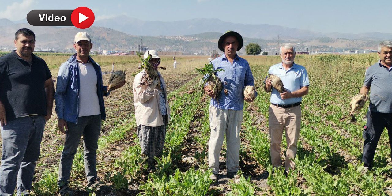Kahramanmaraş’ta 130 bin ton pancardan 14 bin 500 ton şeker üretildi