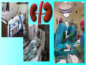 KSÜ böbrek nakletmeye başladı!