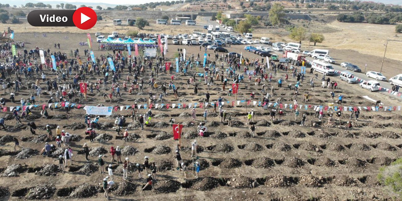 Kahramanmaraş’ta 10 Bin Fidan Toprakla Buluştu