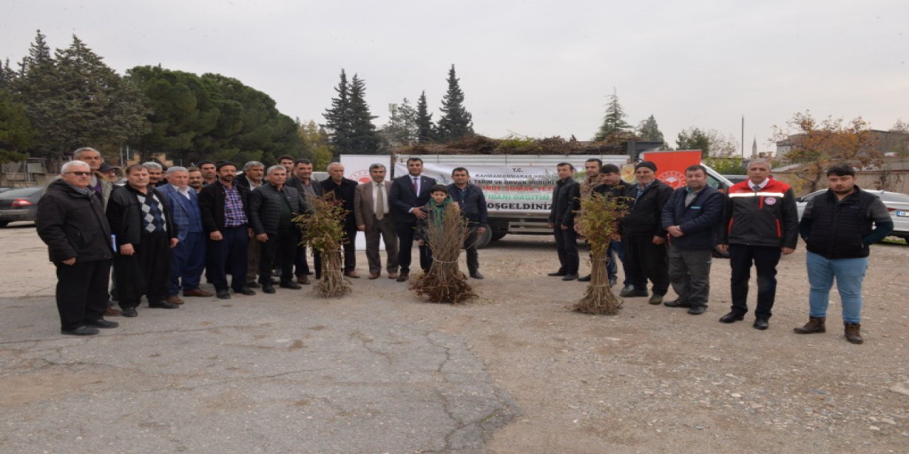 Kahramanmaraş'ta sumak fidanı dağıtıldı