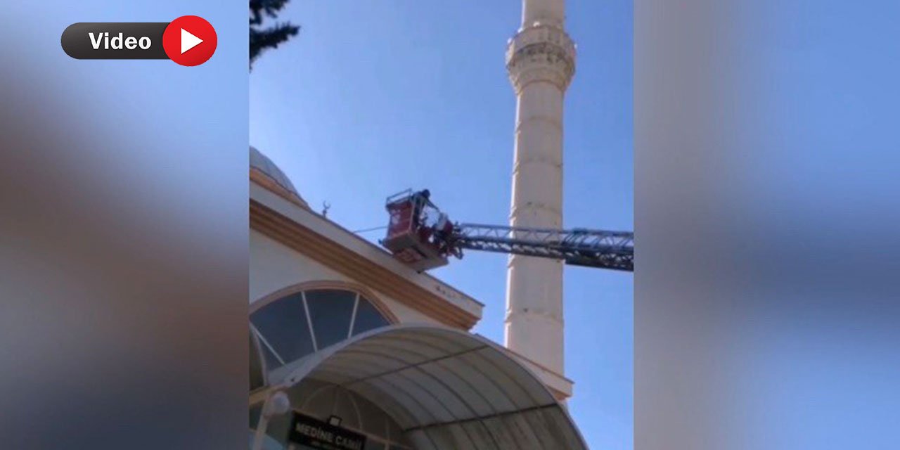 Kahramanmaraş’ta Cami Kubbesinde Mahsur Kalan Kedi Kurtarıldı