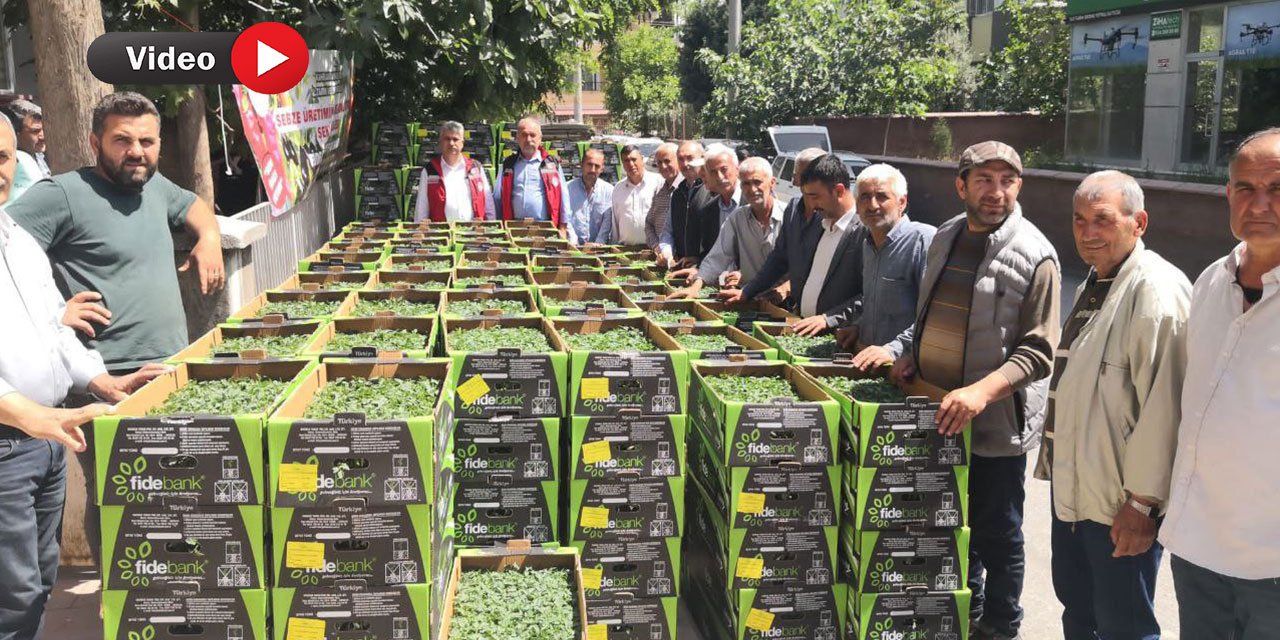 Kahramanmaraş'ta Depremzede Çiftçilere 2 Milyon Sebze Fidesi Desteği