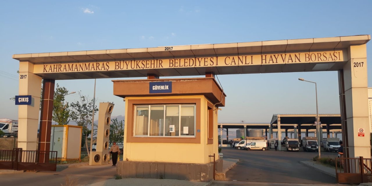 Kahramanmaraş'ta Canlı Hayvan Borsası’nda Padok Kiralama İşlemleri Başladı!