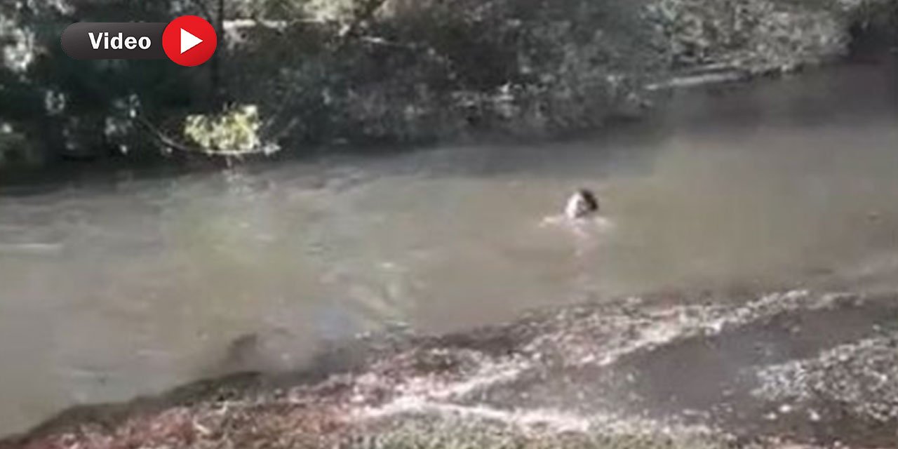 Kahramanmaraş’a Tatil İçin Gelen Suriyeli Genç Gölette Boğuldu