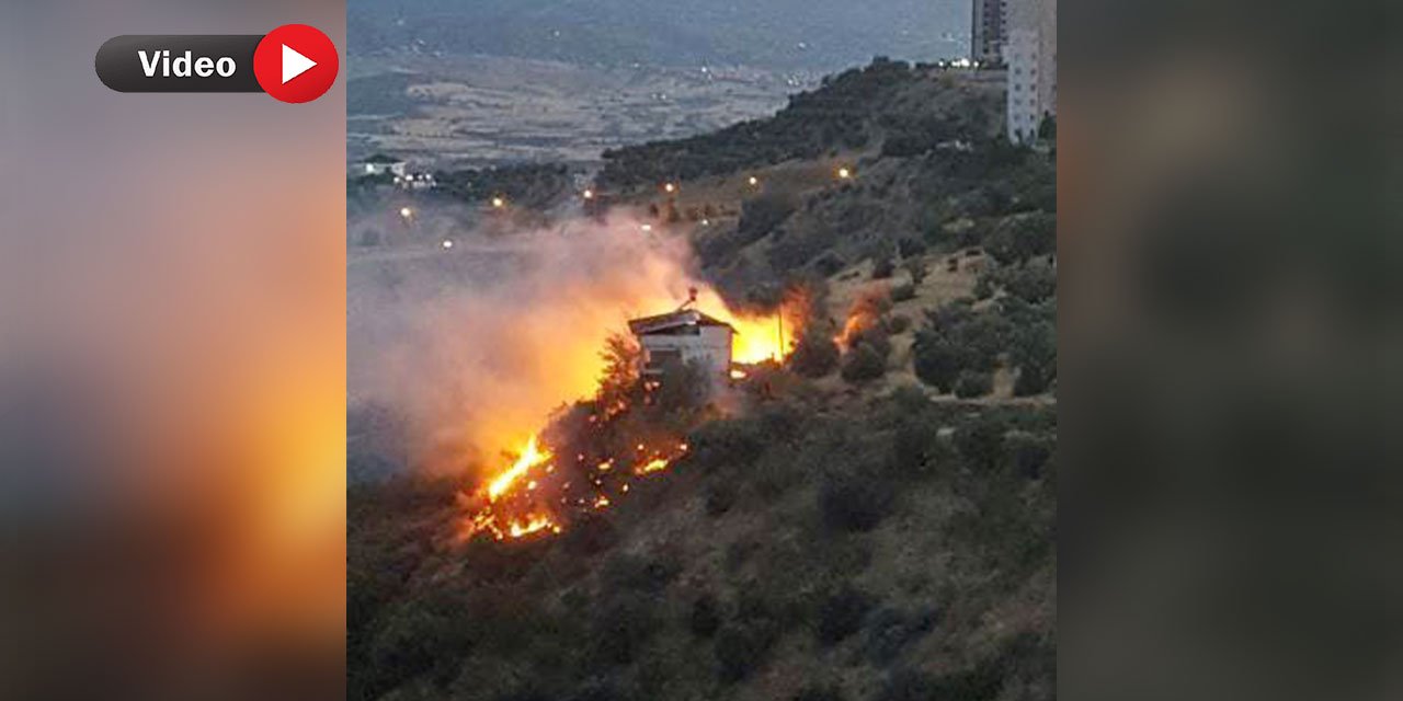 Kahramanmaraş’ta Ormanlık Alanda Korkutan Yangın!