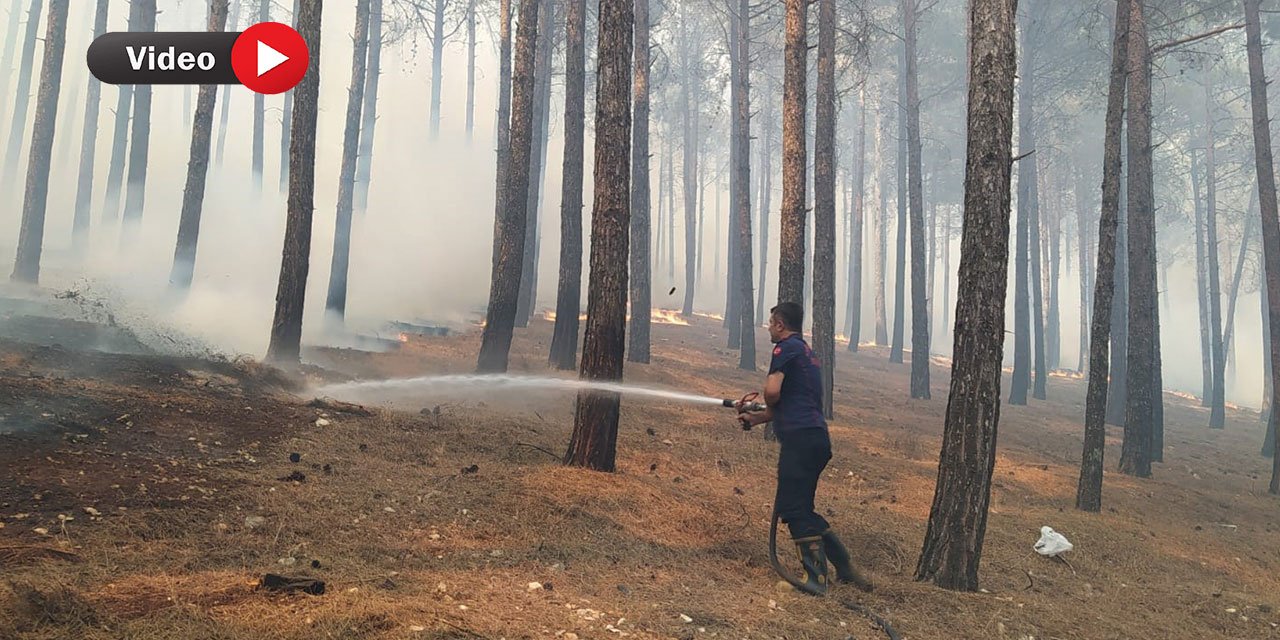 Kahramanmaraş Ahır Dağı’ndaki Orman Yangını Kontrol Altına Alındı