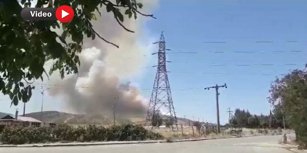 Kahramanmaraş'ta Yine Orman Yangını!