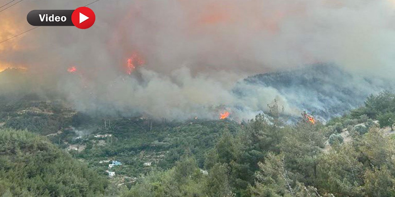 Hatay ve Osmaniye’de Orman Yangını