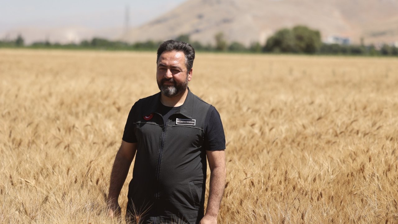 Kahramanmaraş'ta Belediye Tarlada Buğday Üretip, Ücretsiz 10 Bin Ekmek Dağıtıyor