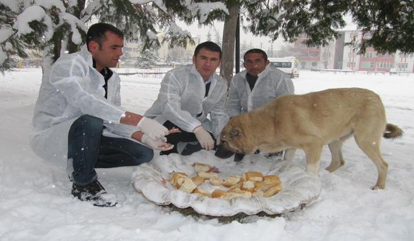 SOKAK HAYVANLARI AÇ BIRAKILMADI
