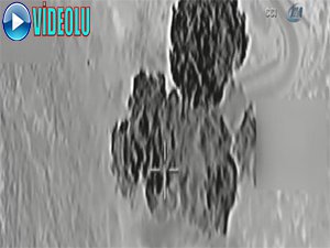 Bakın pkk'yı nasıl vurduk!