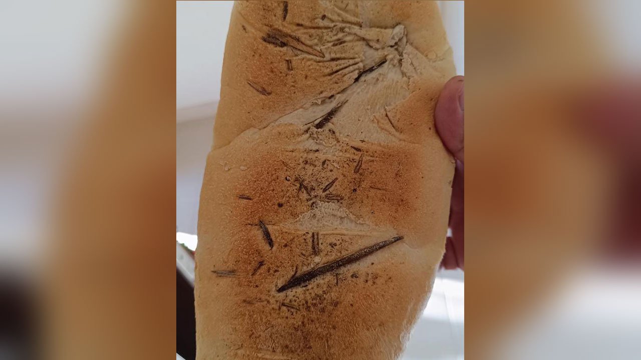 Kahramanmaraş'ta Mide Bulandıran Olay! Ekmeğin İçinden Bu Kez de…