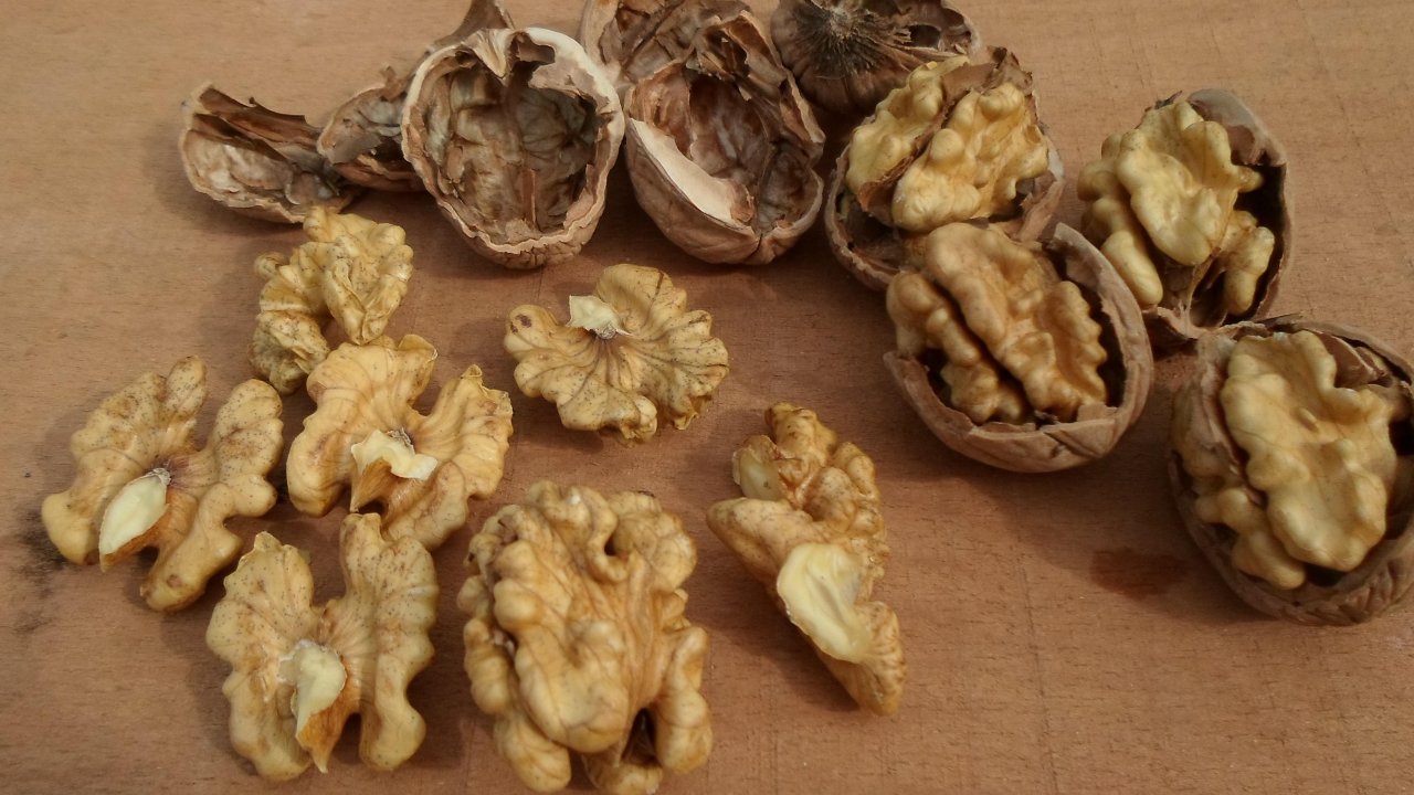 Kahramanmaraş Cevizinin Fiyatı Belli Oldu: Maraş-18 Ceviziyle Tanışın!