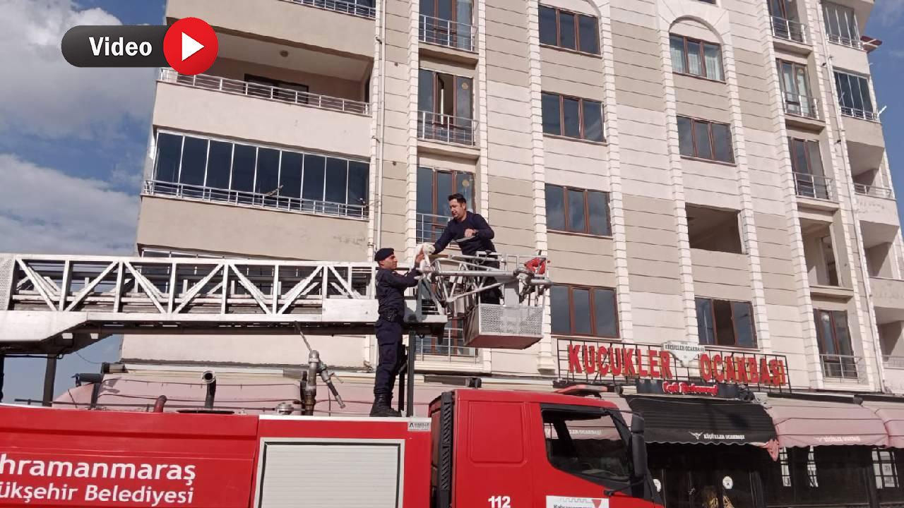 Kahramanmaraş'ta Zor Anlar: Jandarma Kediyi Ağır Hasarlı Binadan Kurtardı!
