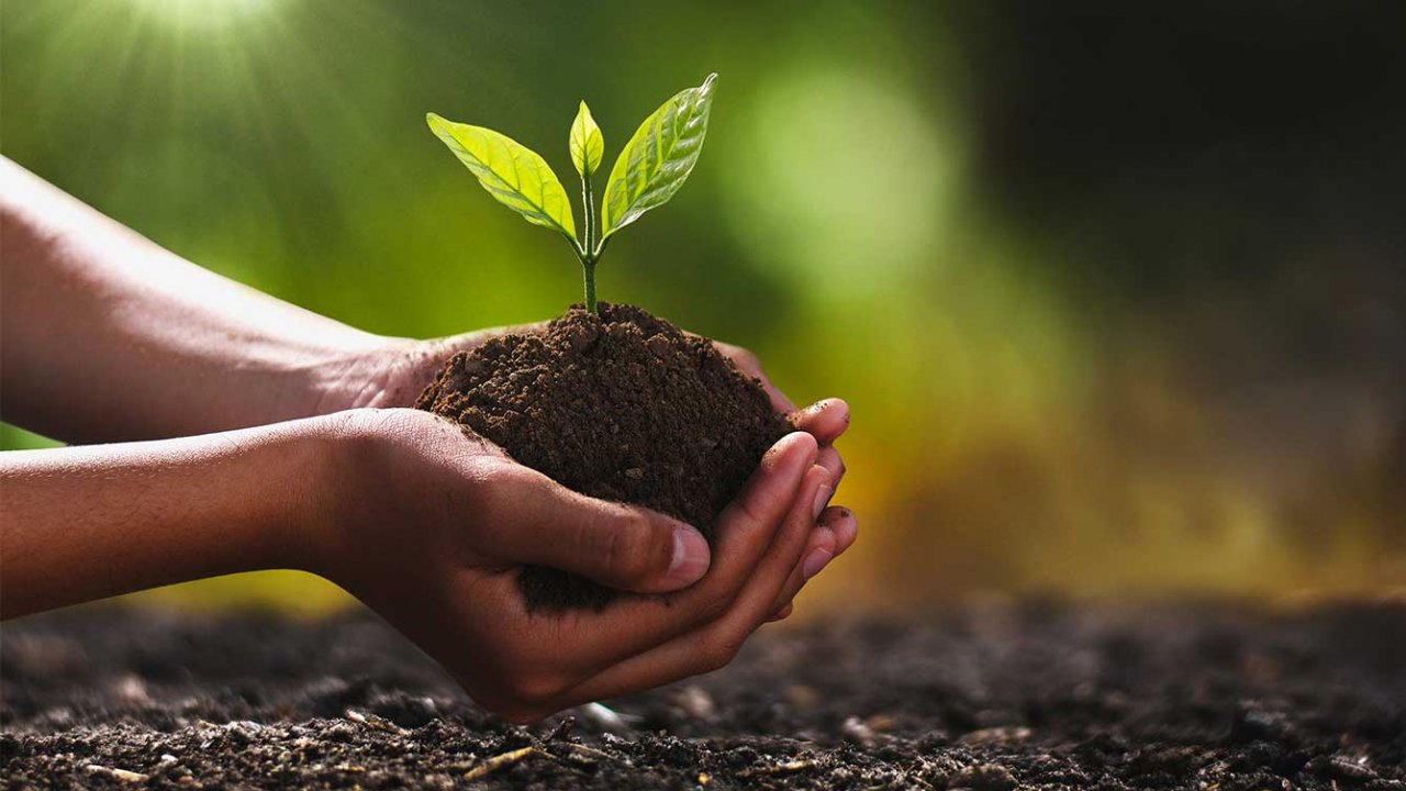 Kahramanmaraş Dahil 6 İlde 77 Bin 200 Fidan Toprakla Buluşturulacak!