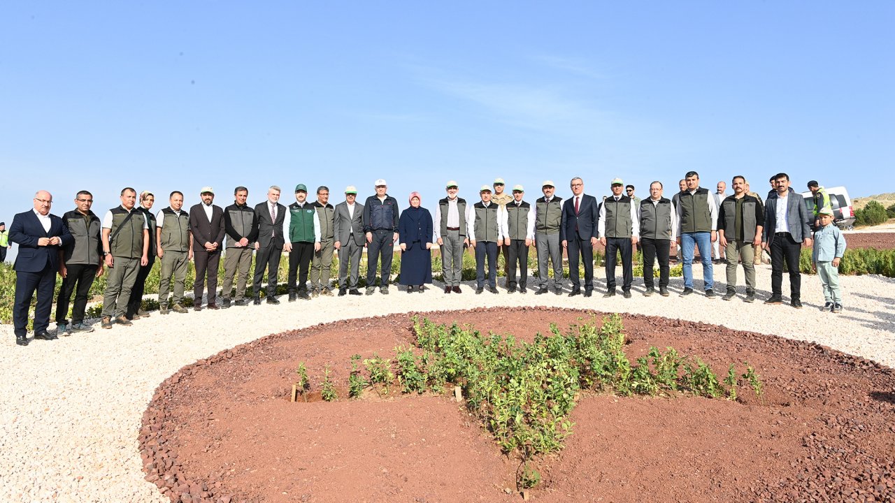 Kahramanmaraş'ta Yeşil Devrim: Binlerce Fidan Toprağa Ekildi!