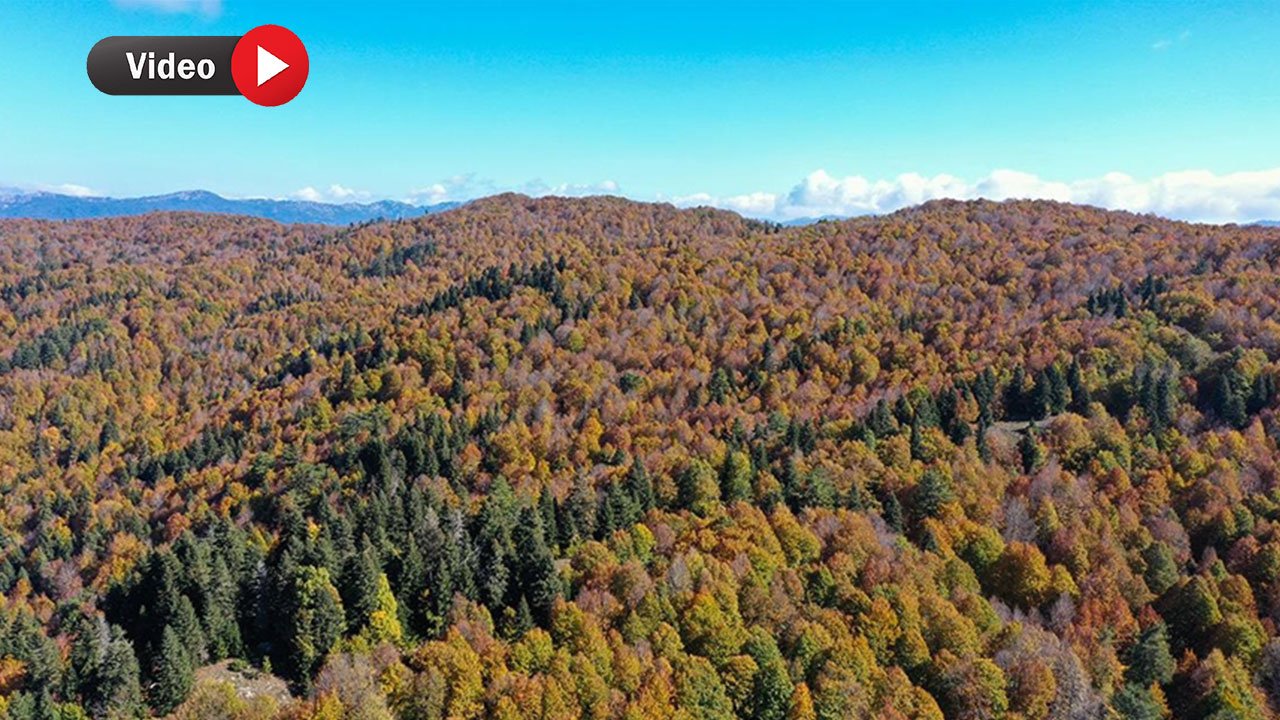 Kahramanmaraş Andırın'ın Büyülü Yaylalarında Sonbaharın Şöleni!