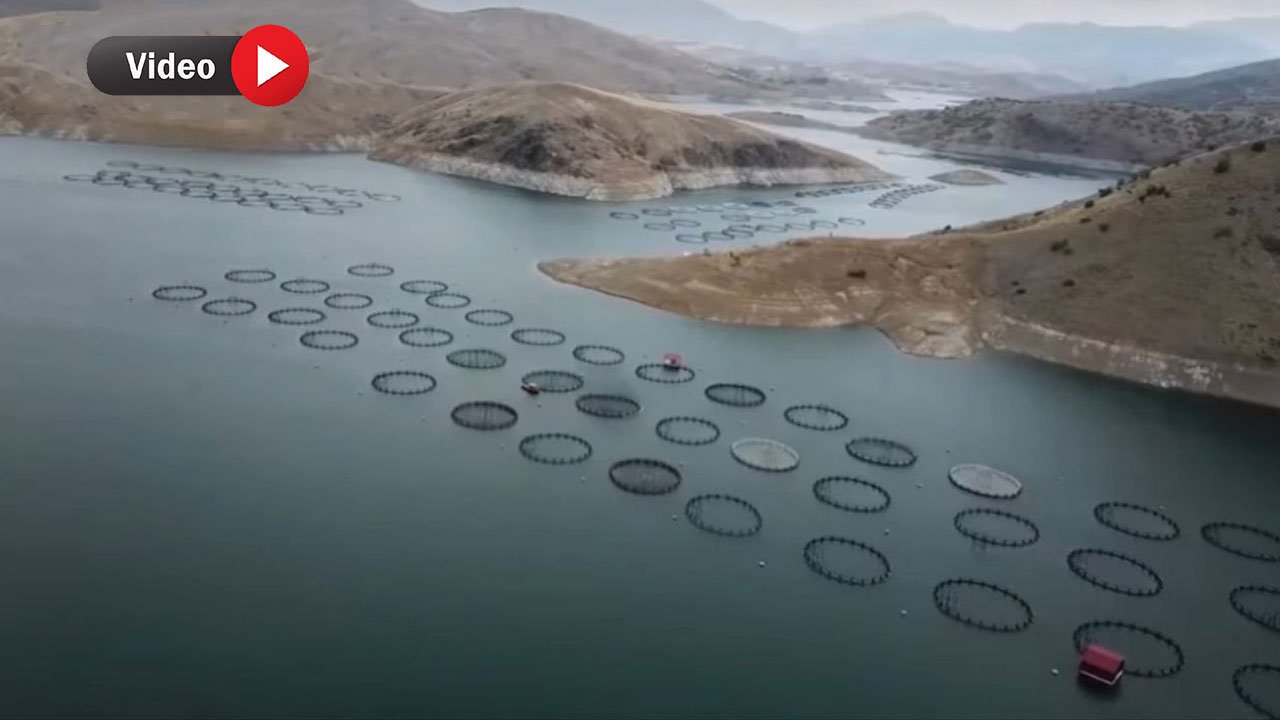 Kahramanmaraş'ta Balık Üretimi: Kandil Barajı'nda 17 Bin Ton Rekoru!