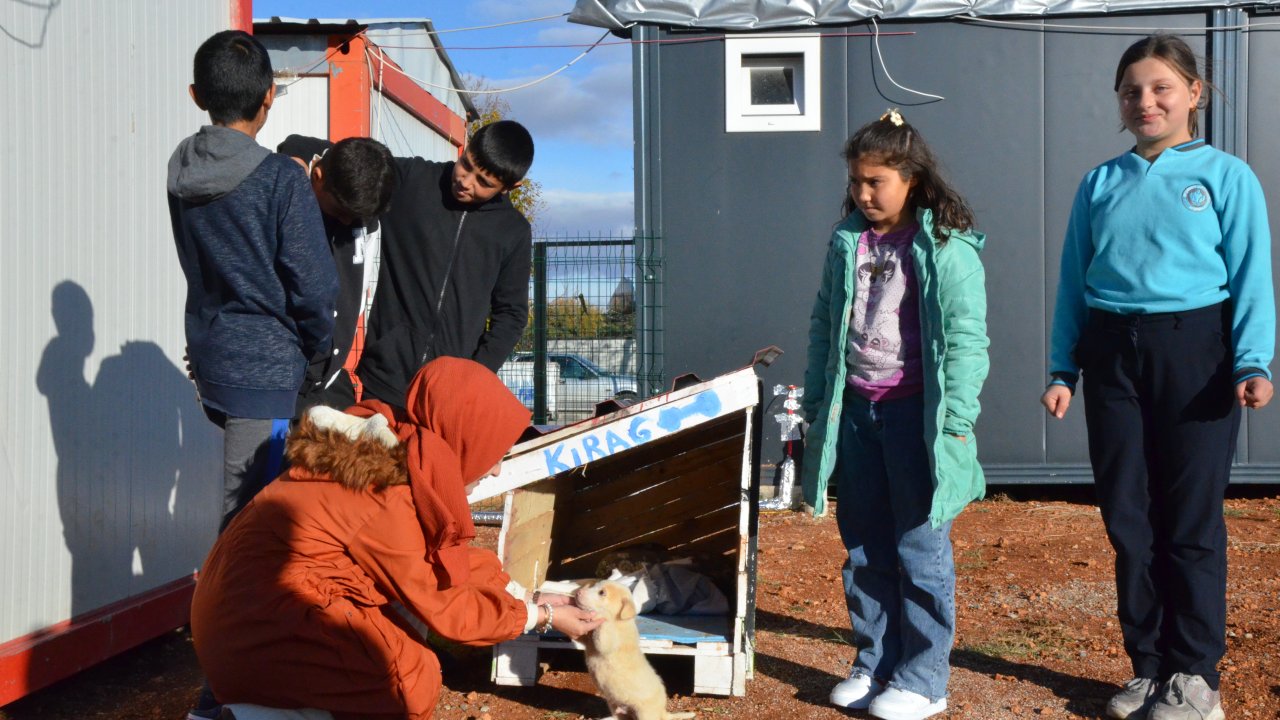 Kahramanmaraş'ta Çocuklar Kırağ İle Gülümsüyor: Konteyner Kentteki Hikaye!