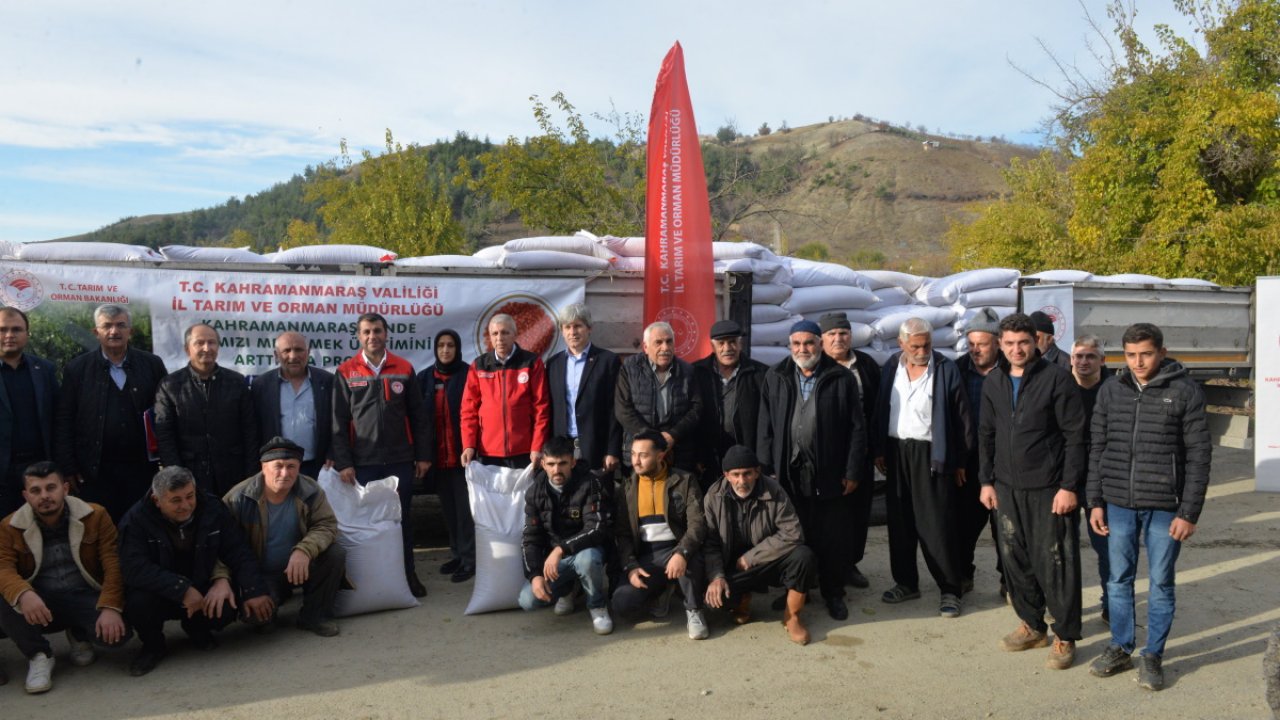 Kahramanmaraş'ta Kırmızı Mercimek Üretimine Destek: 99 Ton Tohum Dağıtımı!