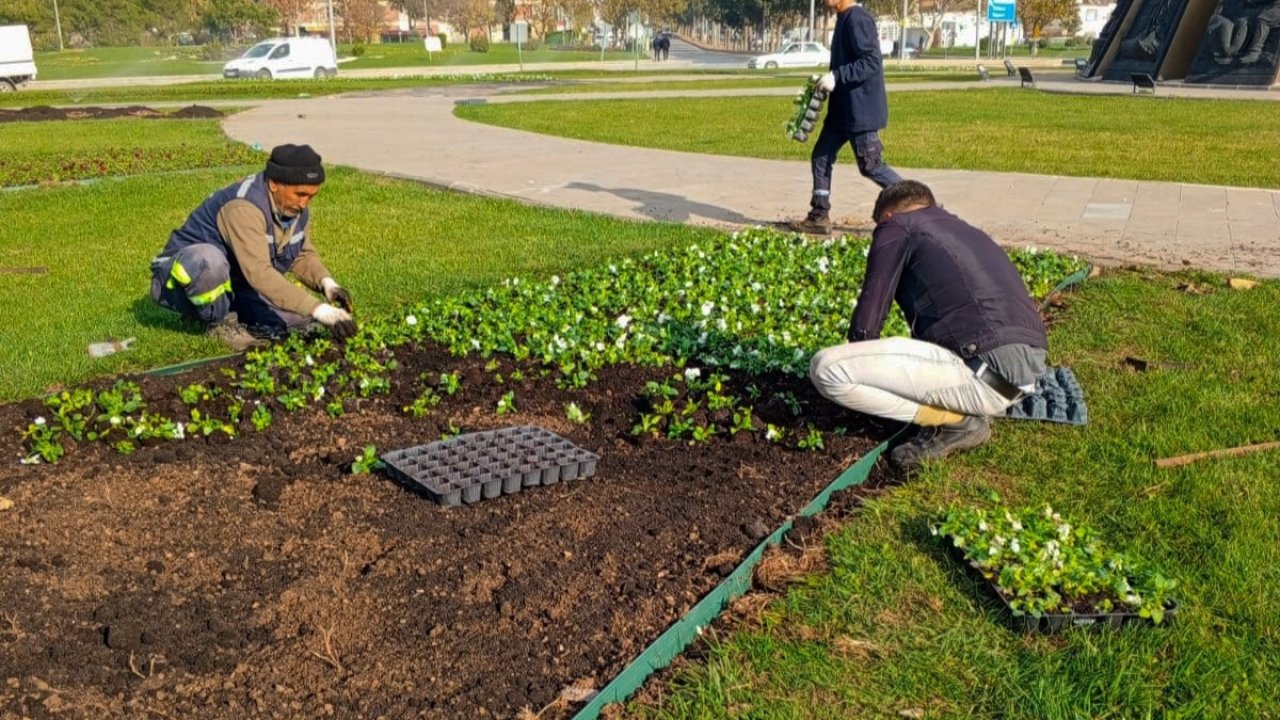 Kahramanmaraş'ta Madalyalı Kavşak ve Hal Kavşağına Mevsimlik Çiçek Şöleni