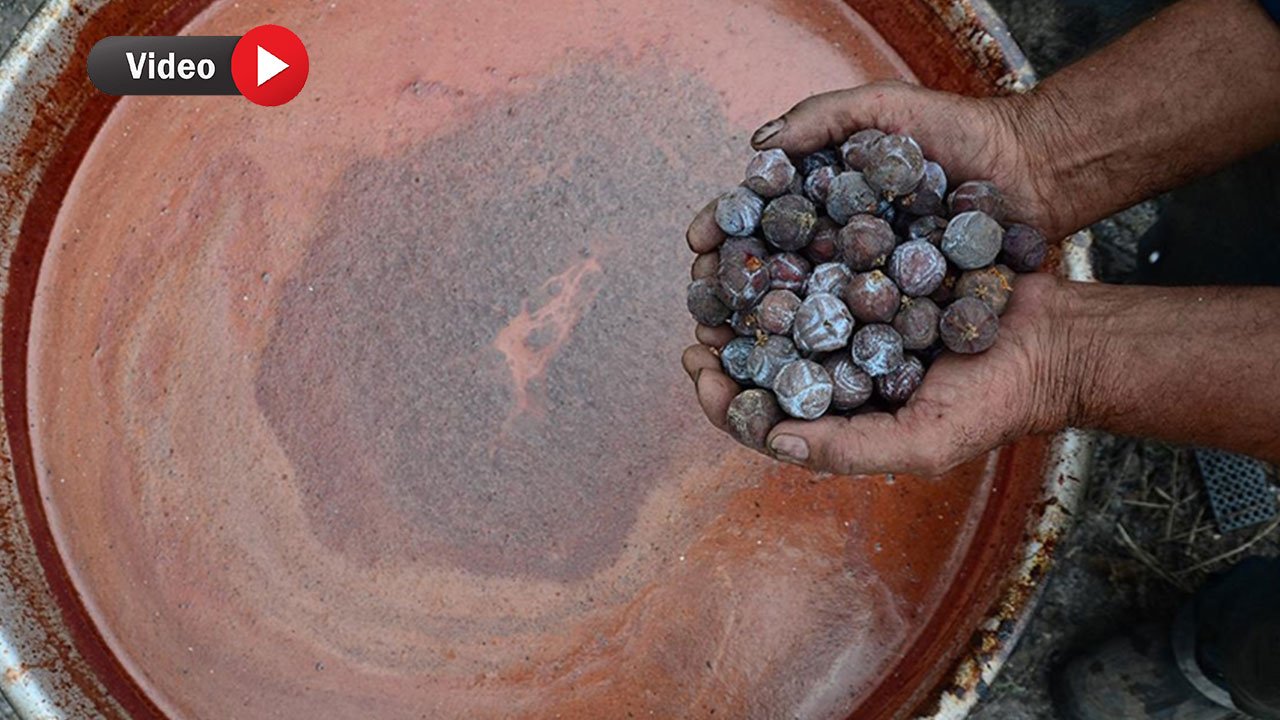 Kahramanmaraş'ın Şifalı Hazinesi: Andırın'da Tescilli Andız Pekmezi
