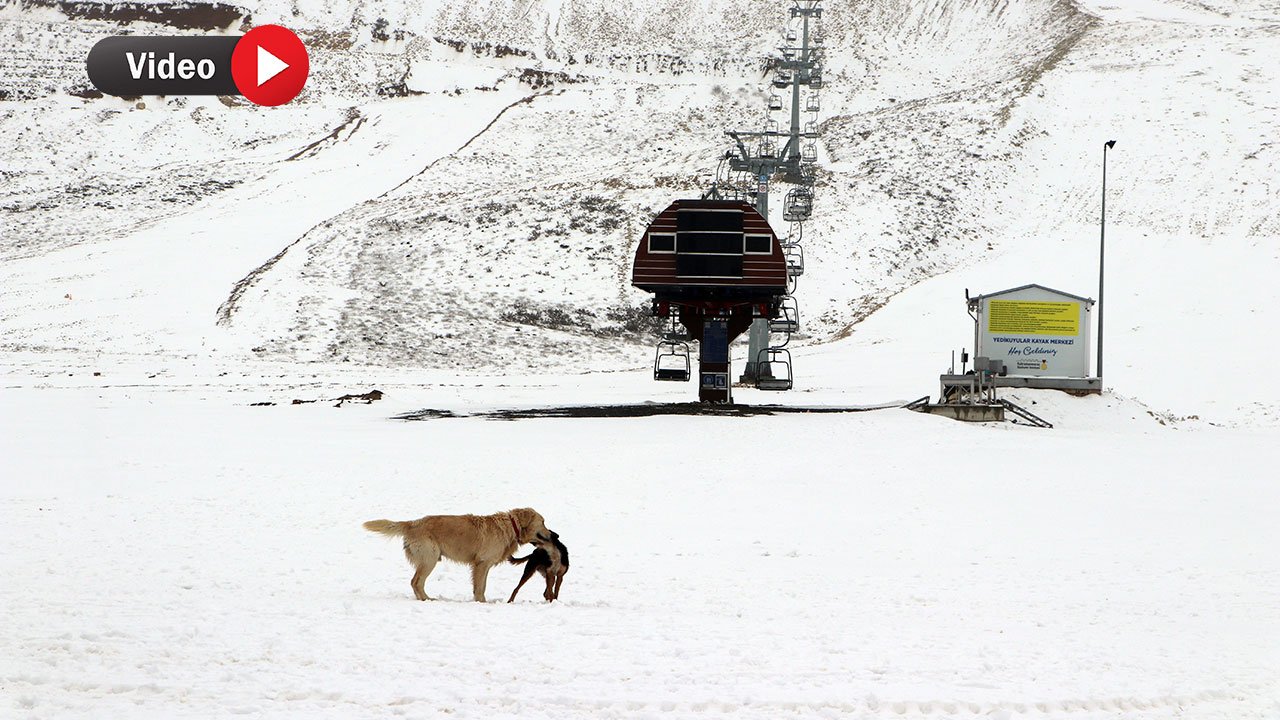 Kahramanmaraş'ın Kar Kaplı Cenneti: Yedikuyular Kayak Merkezi!