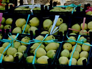 Şahinkayası “Ayvası” festivalde görücüye çıktı