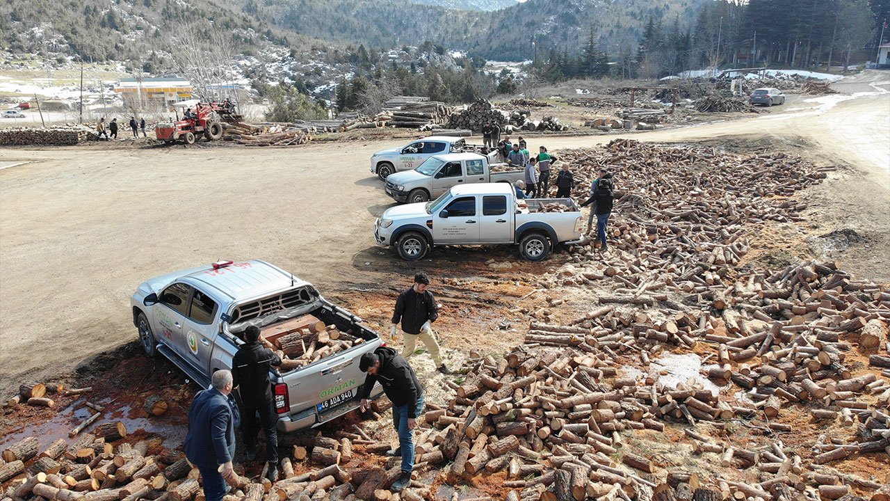 Kahramanmaraş Orman Bölge Müdürlüğü 37 Bin Ton Odun Dağıttı