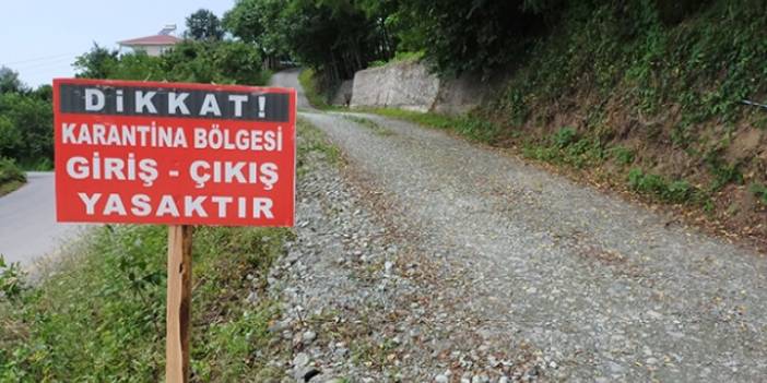 Kahramanmaraş’ta şarbon salgını: O ilçede karantina başlatıldı!