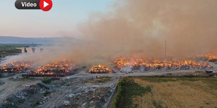 Aydın'daki Kipaş Kağıt Fabrikasında çıkan yangına müdahale sürüyor