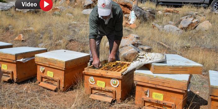 Kahramanmaraş'ta üreticilere 2 milyon 240 bin TL hibe