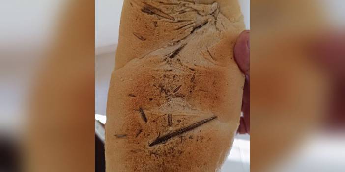 Kahramanmaraş'ta Mide Bulandıran Olay! Ekmeğin İçinden Bu Kez de…