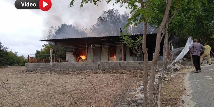 Kahramanmaraş'ta Depremzedelerin Emekleri Kül Oldu: Andırın'da Konteynır Yangını!