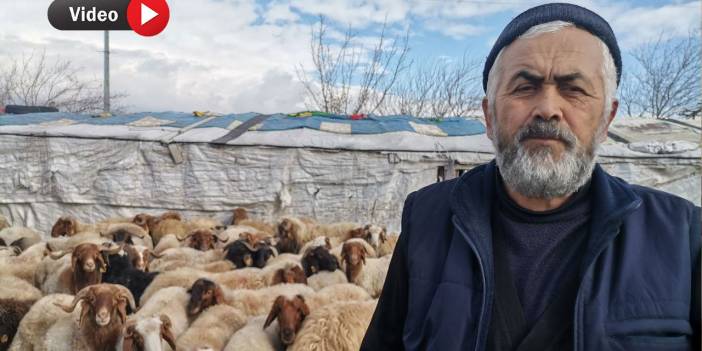 Kahramanmaraşlı Çiftçi 30 Bin TL Maaşla Çoban Arıyor!