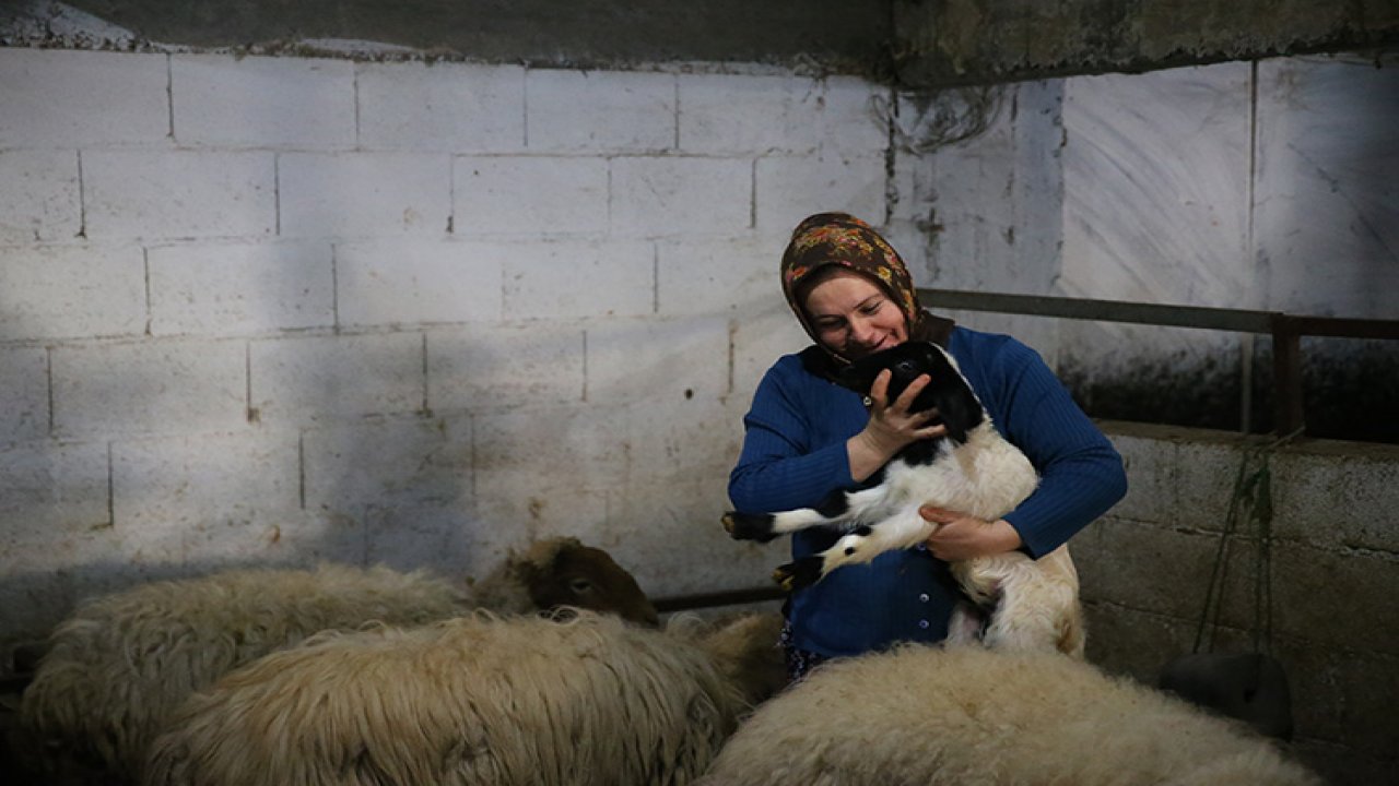kadin-besici-3-yilda-hayvan-sayisini-17den-91e-cikardi.jpg