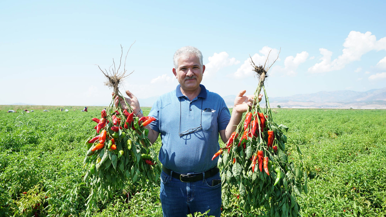tarimsal-destek-33.jpg