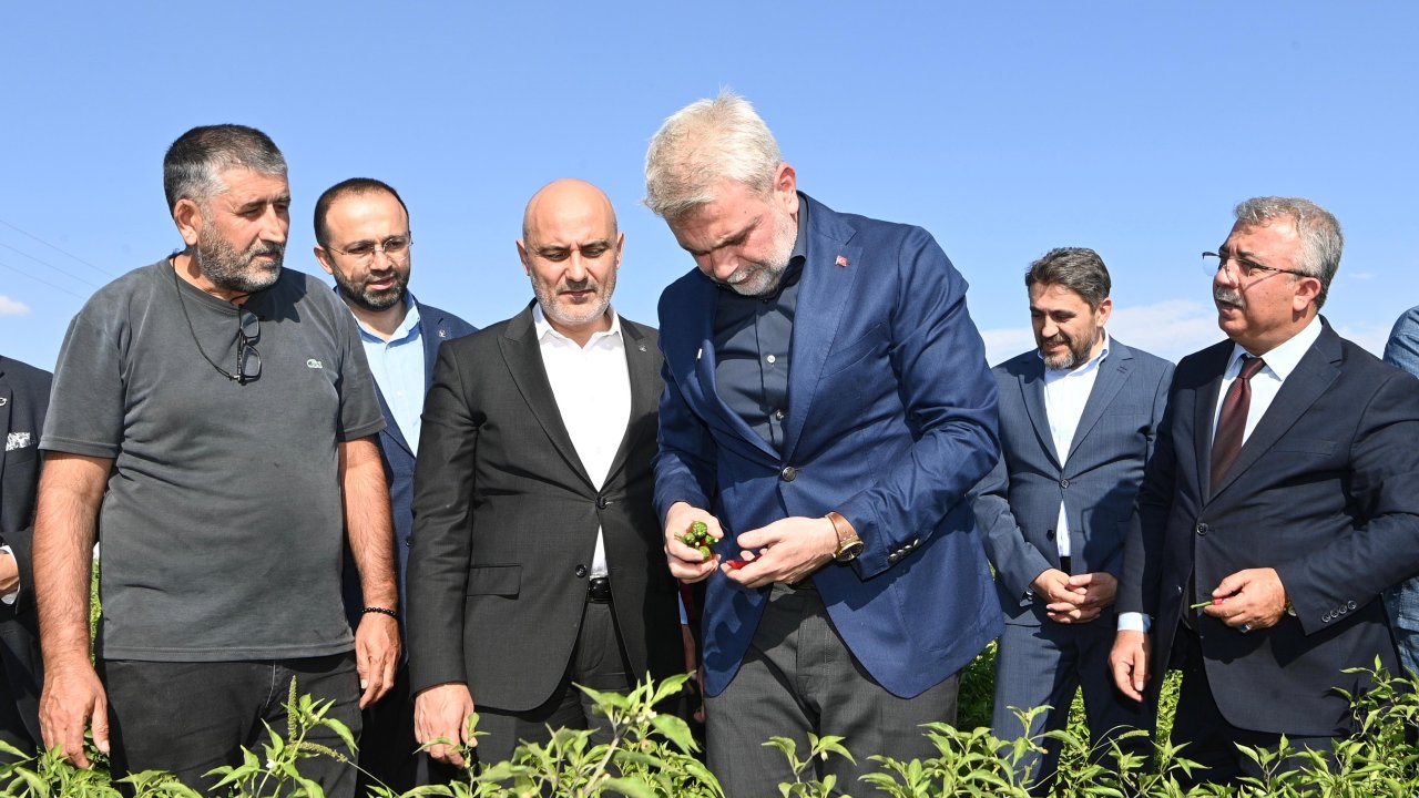maras-biberi-hasadi-3.jpeg