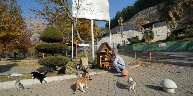 Kahramanmaraş’ta sokak hayvanları unutulmadı